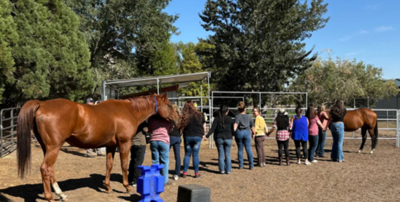 Community participants taking part in a nonprofit program experience