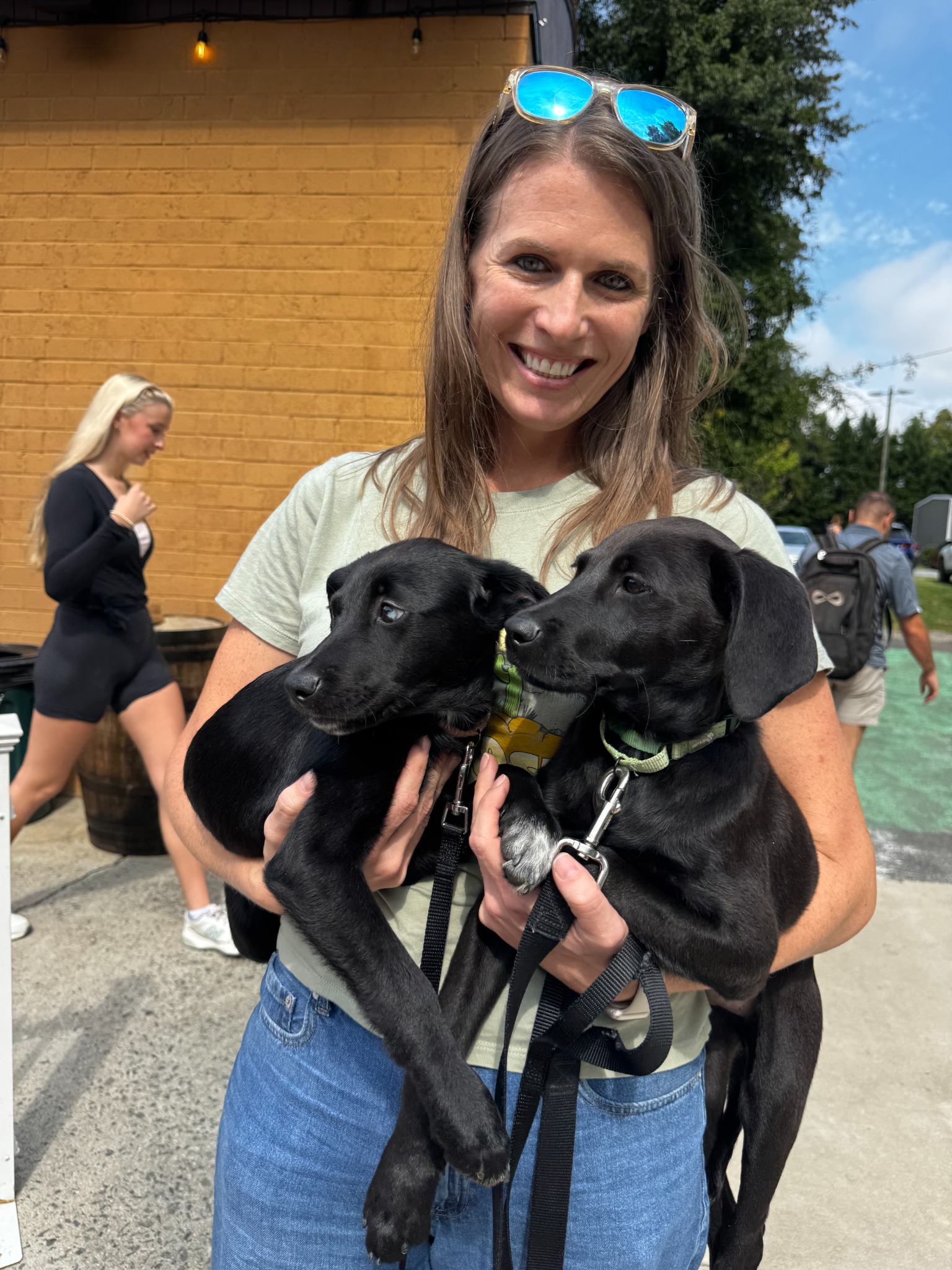 Two rescue puppies at the local gathering